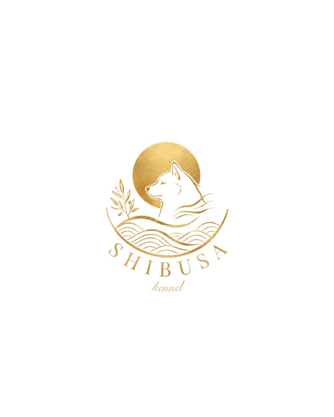 SHIBUSA
